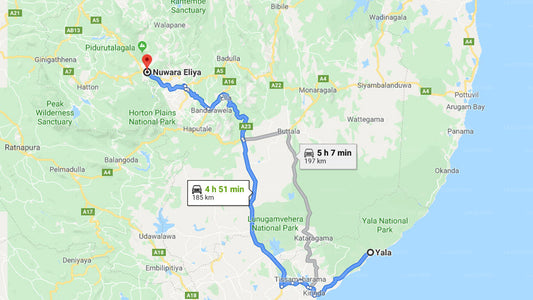 Privater Transfer von Yala City nach Nuwara Eliya City