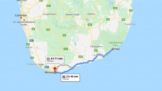 Privater Transfer von Yala City nach Mirissa City