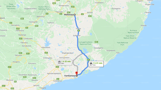 Privater Transfer von Wellawaya City nach Hambantota City
