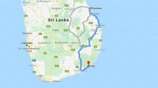 Privater Transfer von Pasikuda City nach Yala City