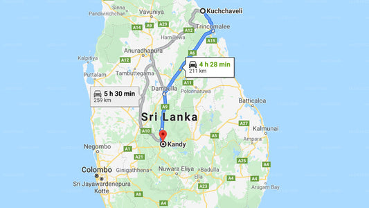 Privater Transfer von Kuchchaveli City nach Kandy City