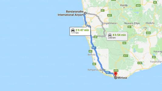 Transfer zwischen dem Flughafen Colombo (CMB) und Palm Villa, Mirissa