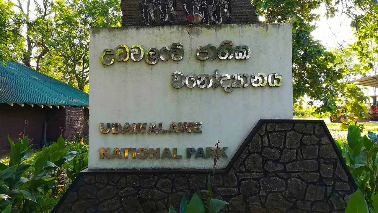 Eintrittskarte für den Udawalawe-Nationalpark