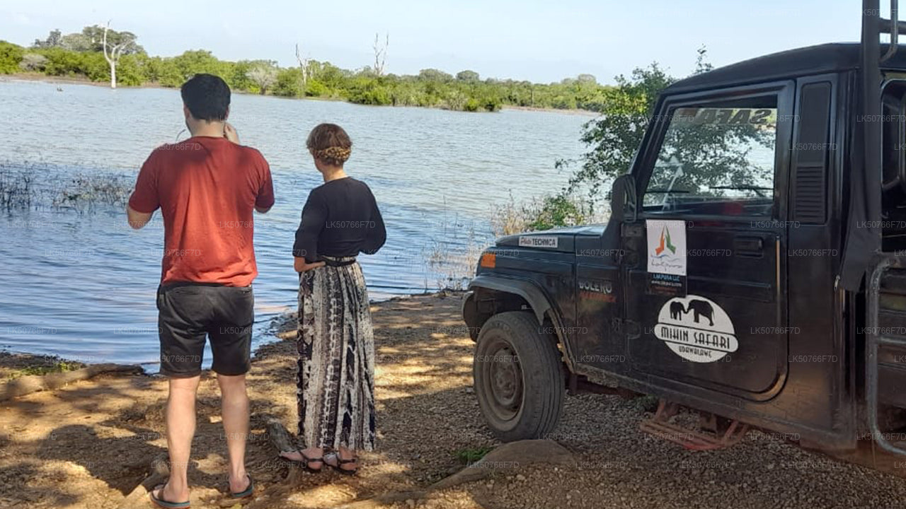 Private Safari im Udawalawe-Nationalpark mit Naturforscher