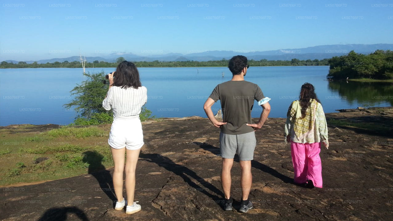 Private Safari im Udawalawe-Nationalpark mit Naturforscher