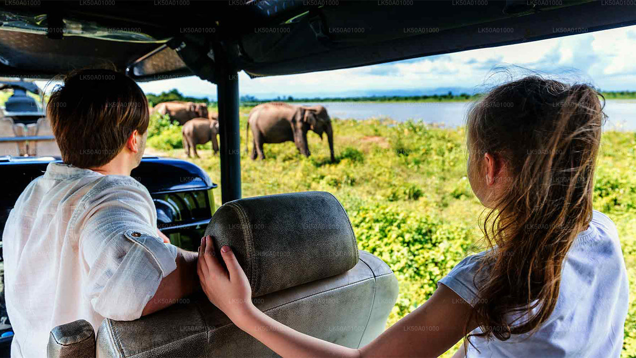 Safari im Udawalawe-Nationalpark