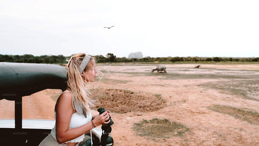 Leopardensafari im Yala-Nationalpark
