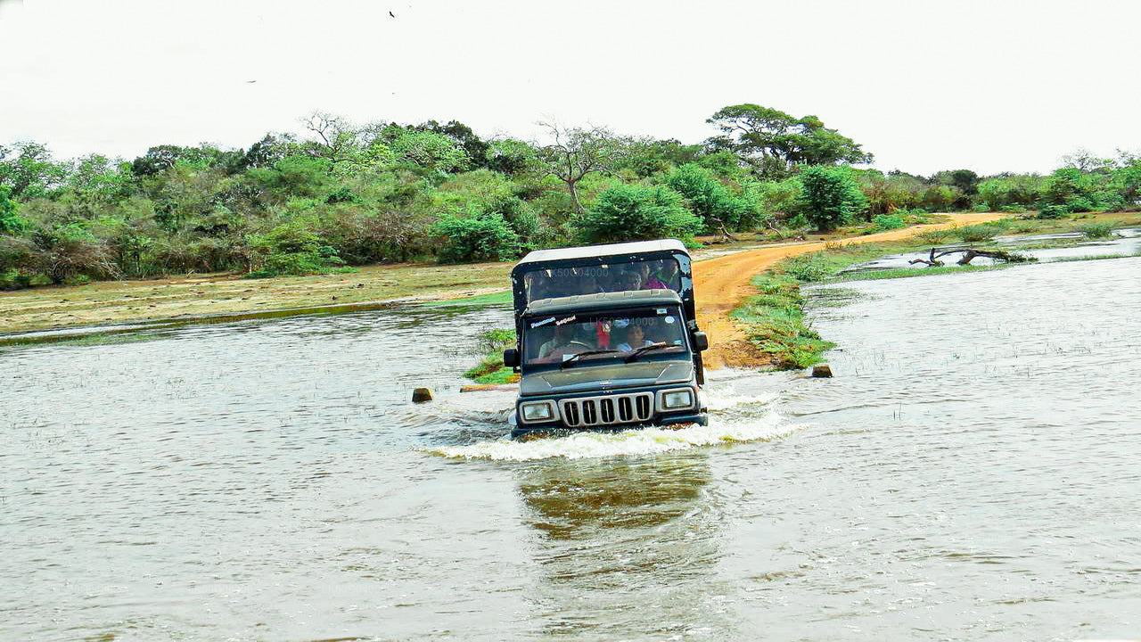 Private Safari im Kumana-Nationalpark ab Pottuvil