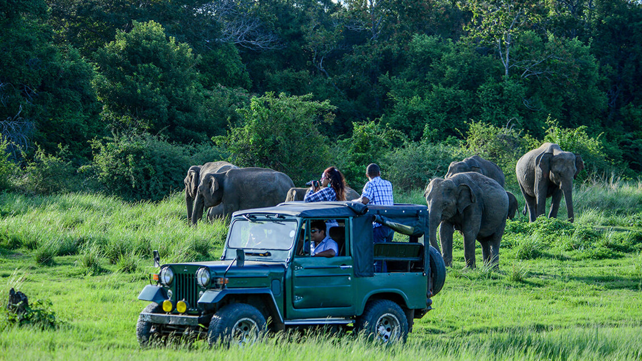 Private Safari im Bundala-Nationalpark