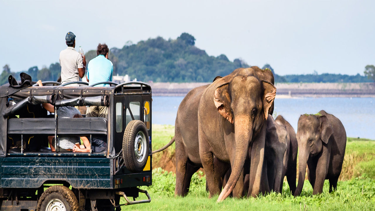 Private Safari im Bundala-Nationalpark