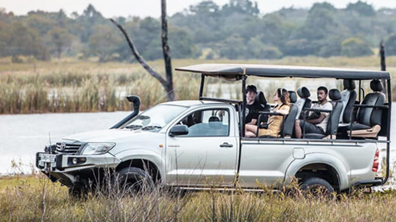 Gemeinsame Safari im Bundala-Nationalpark
