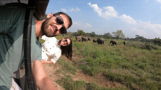 Wasgamuwa-Nationalpark Private Safari