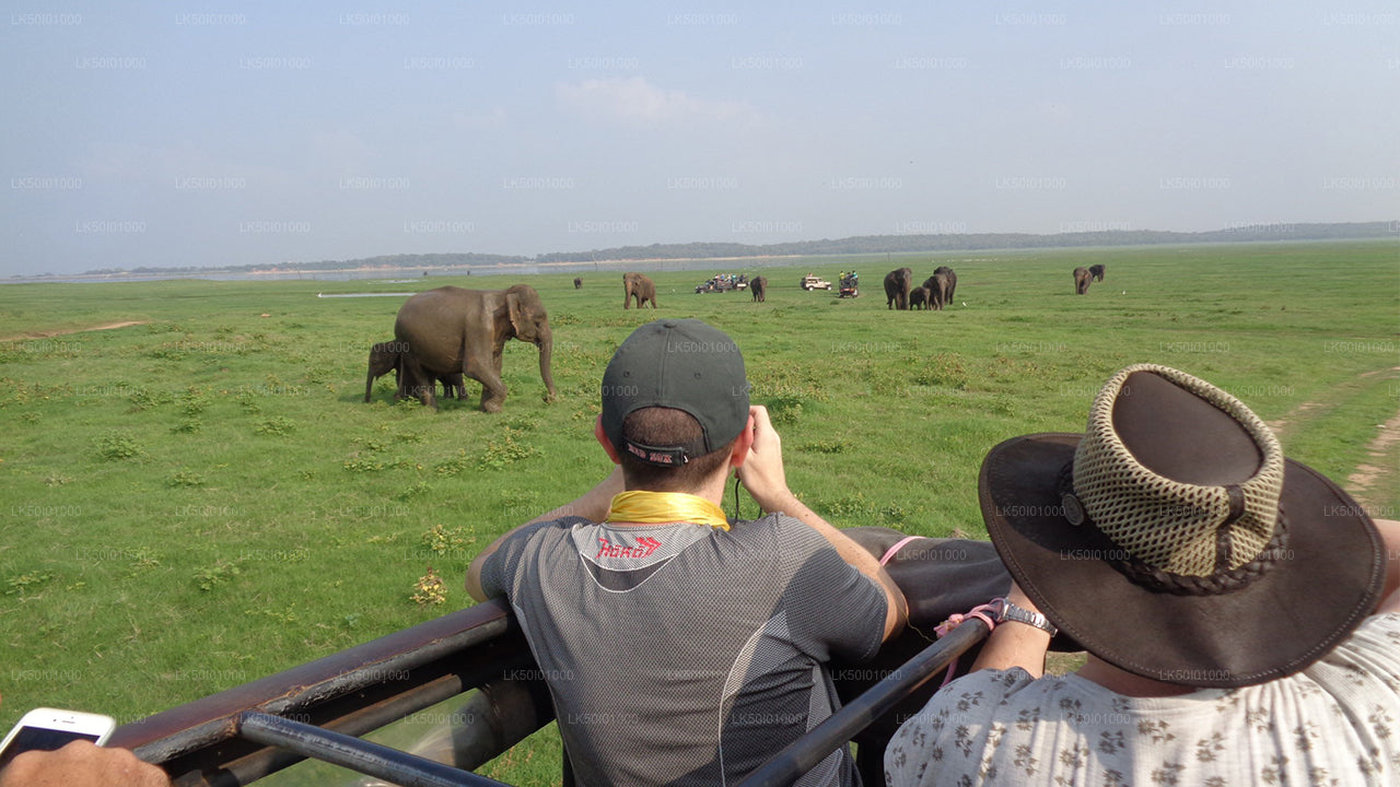 Wasgamuwa-Nationalpark Private Safari