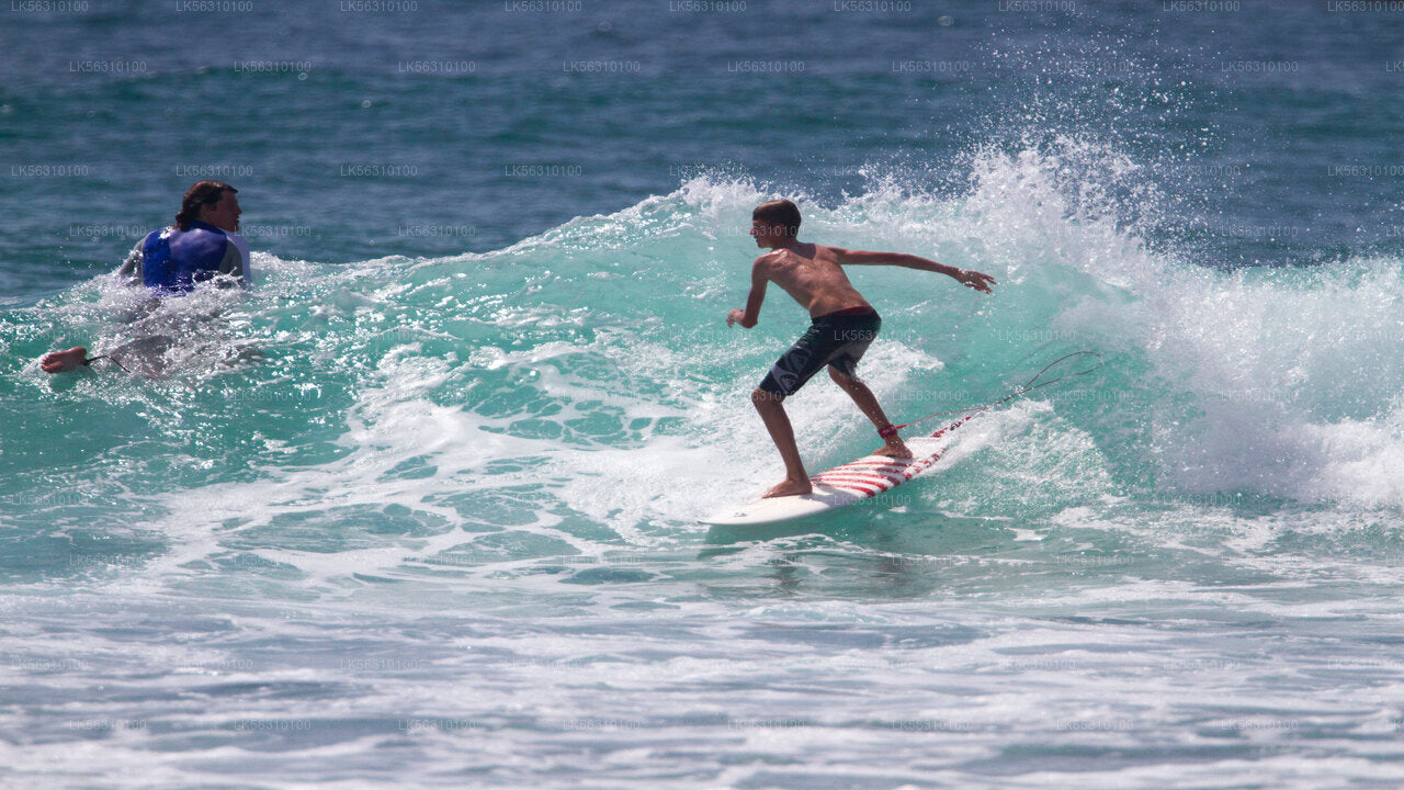 Surfen von Ahangama aus
