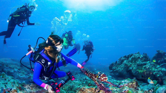 Schnorcheln im Talawila St. Anne's Reef von Kalpitiya aus