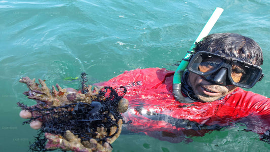 Schnorcheln im Bar Reef Marine Sanctuary von Kalpitiya aus