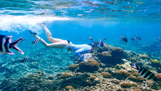 Schnorcheln auf Coral Island von Trincomalee aus