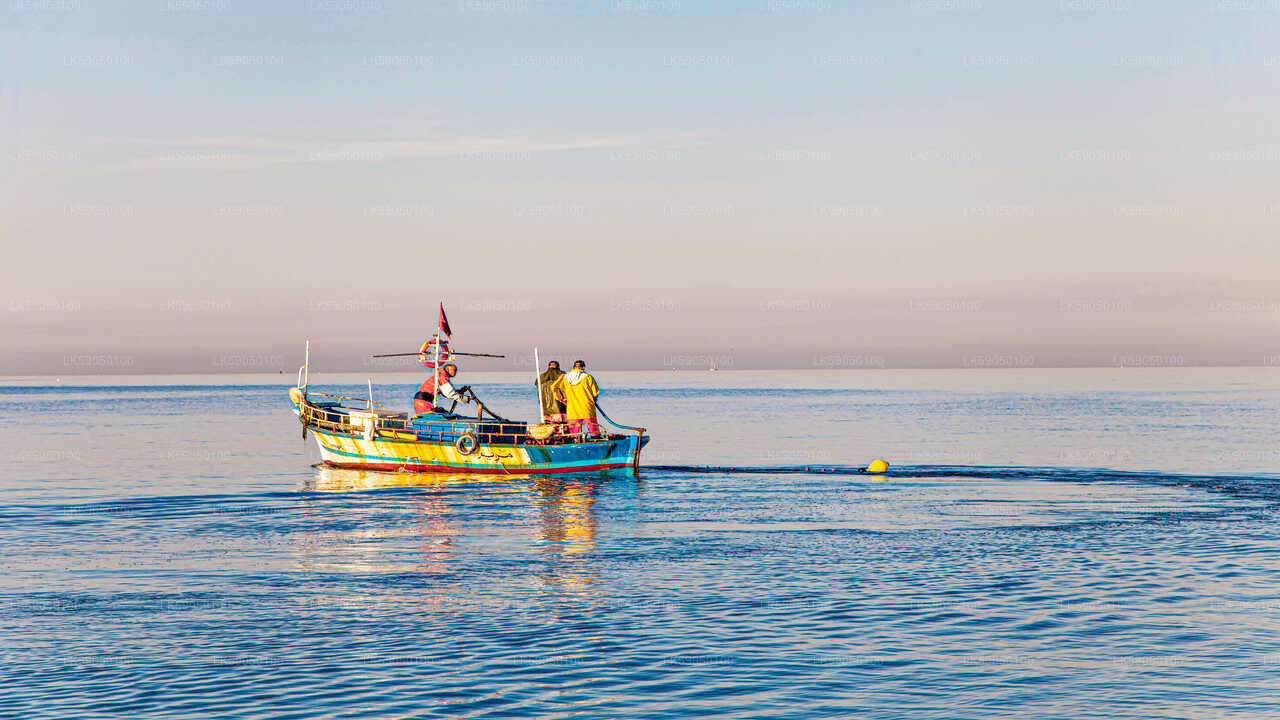 Sportfischen aus Negombo