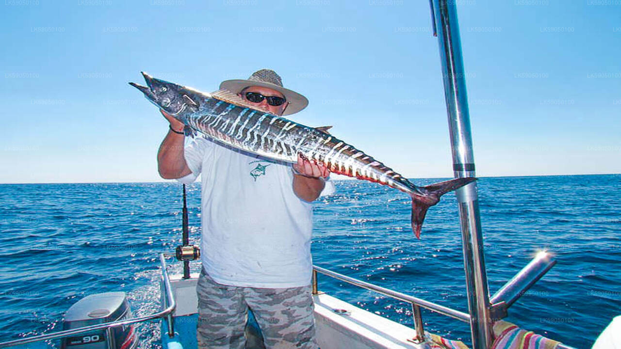 Sportfischen aus Negombo