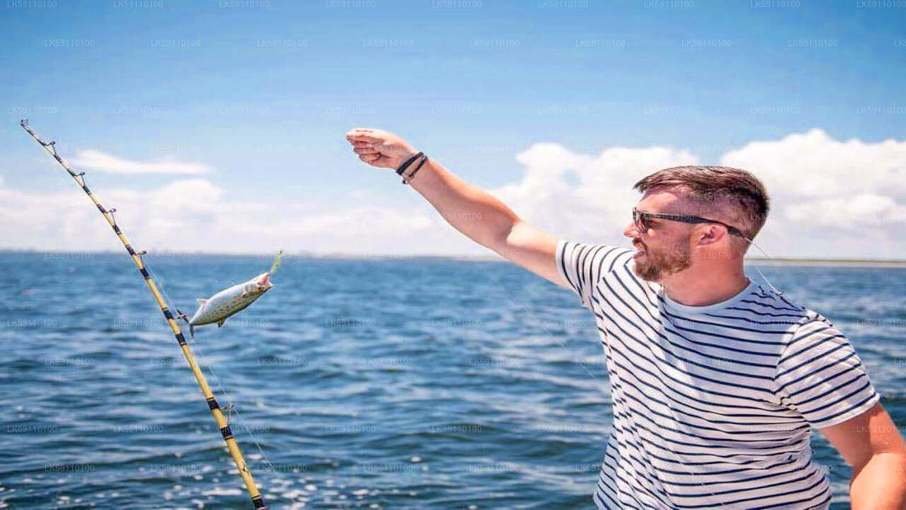 Ab Hikkaduwa: Bootstour zum Hochseefischen