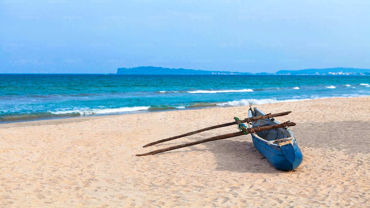 Ab Trincomalee: Bootstour zum Hochseefischen