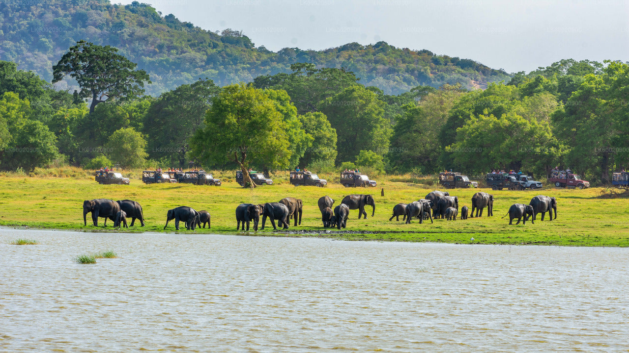 Bundala-Nationalpark-Safari ab Ahungalla