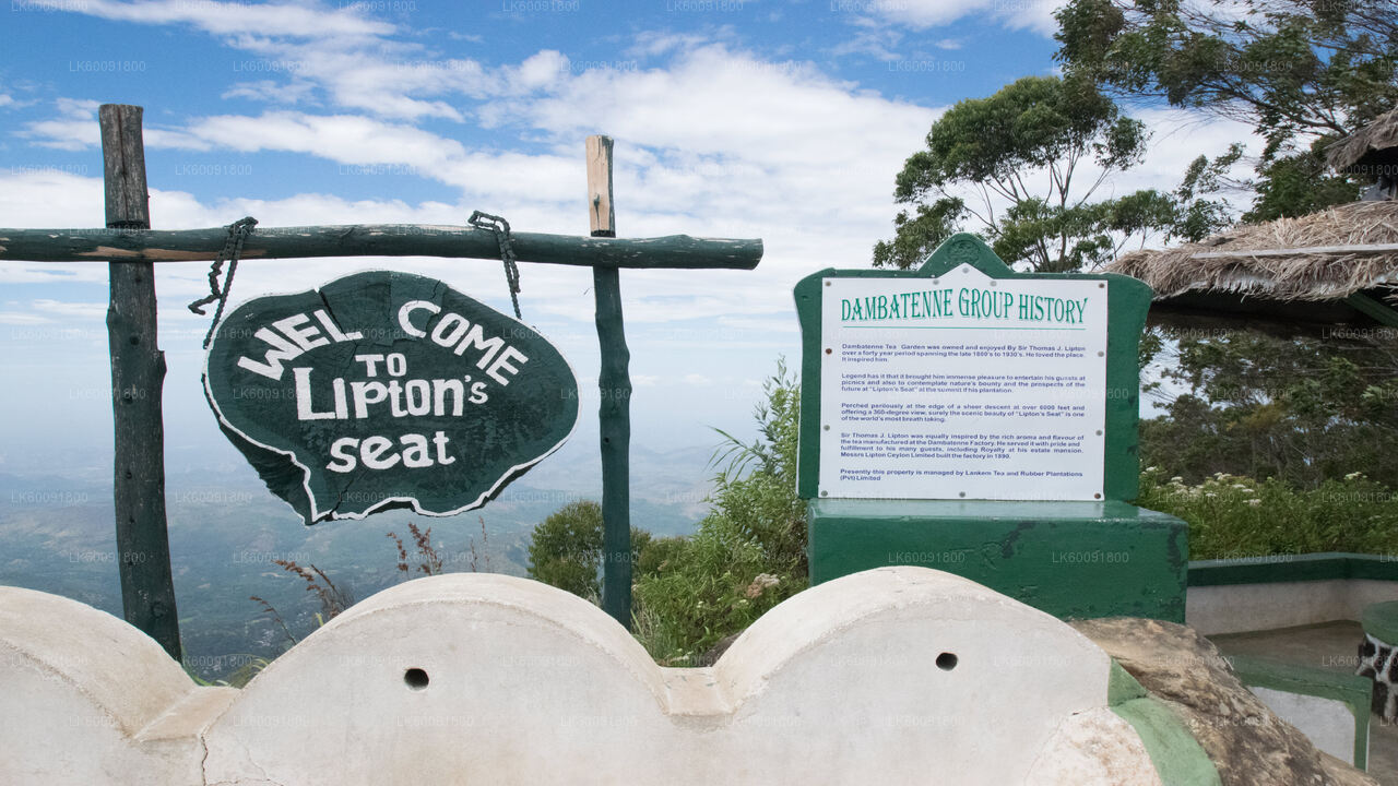 Lipton's Seat View Point von Ella aus