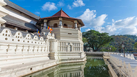 Kandy-Stadtrundfahrt ab Bentota
