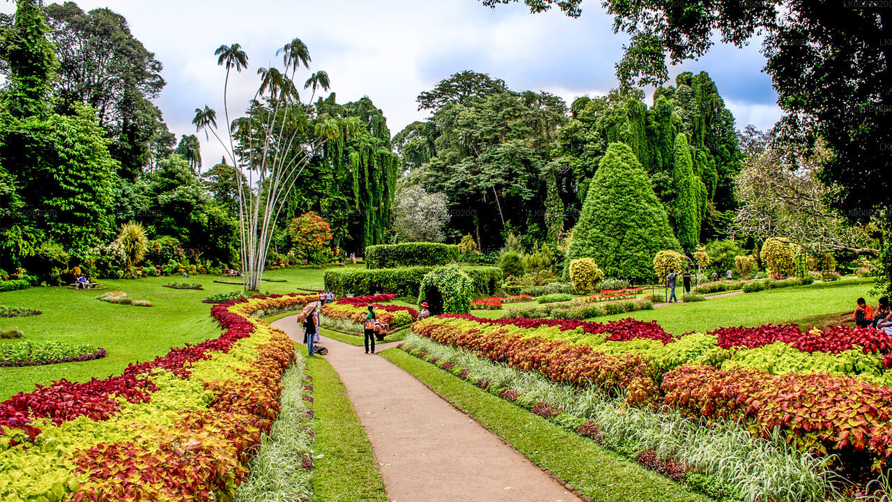 Kandy-Stadtrundfahrt ab Beruwala