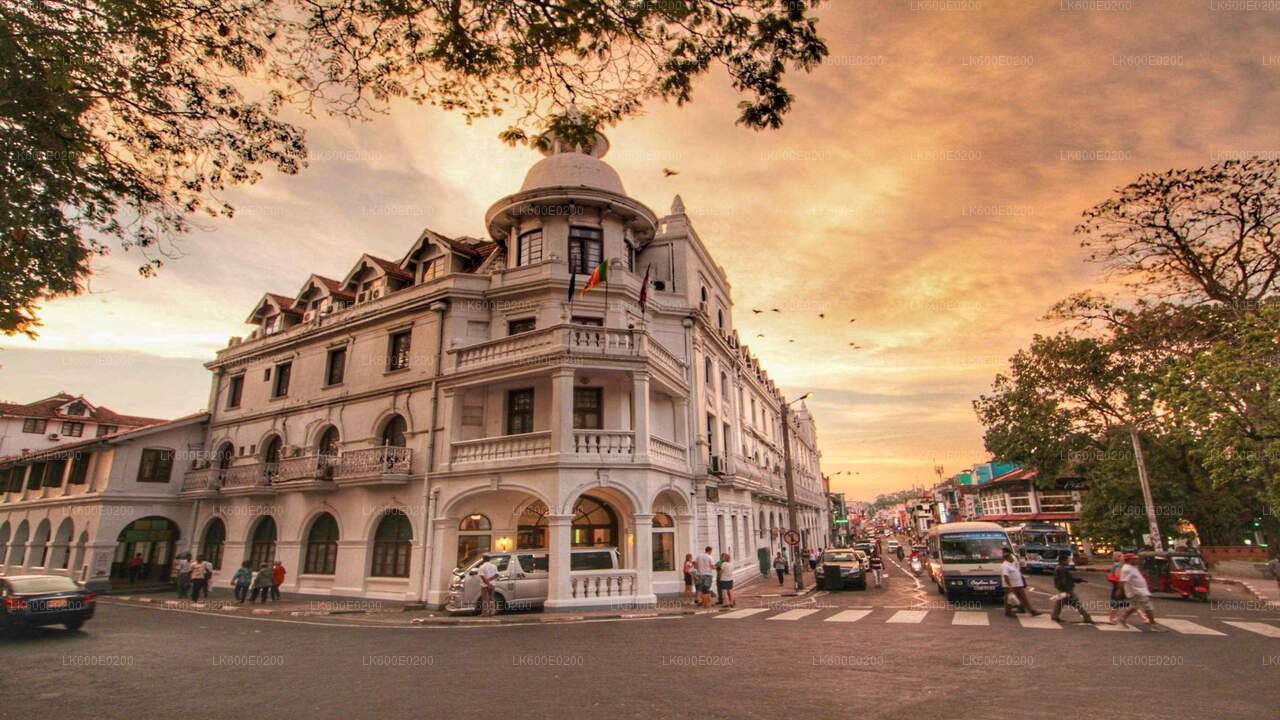 Kandy-Stadtrundfahrt ab Beruwala