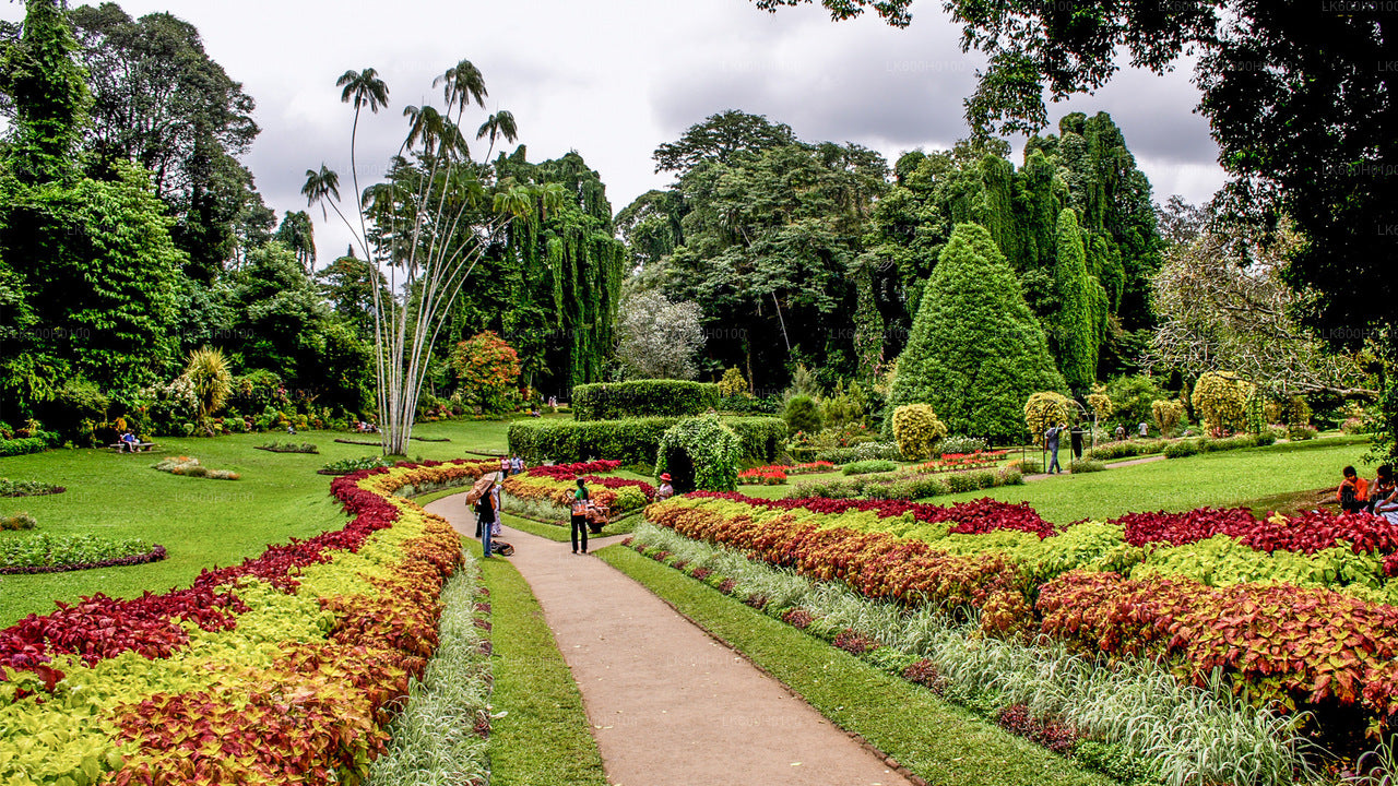 Kandy-Stadtrundfahrt ab Colombo