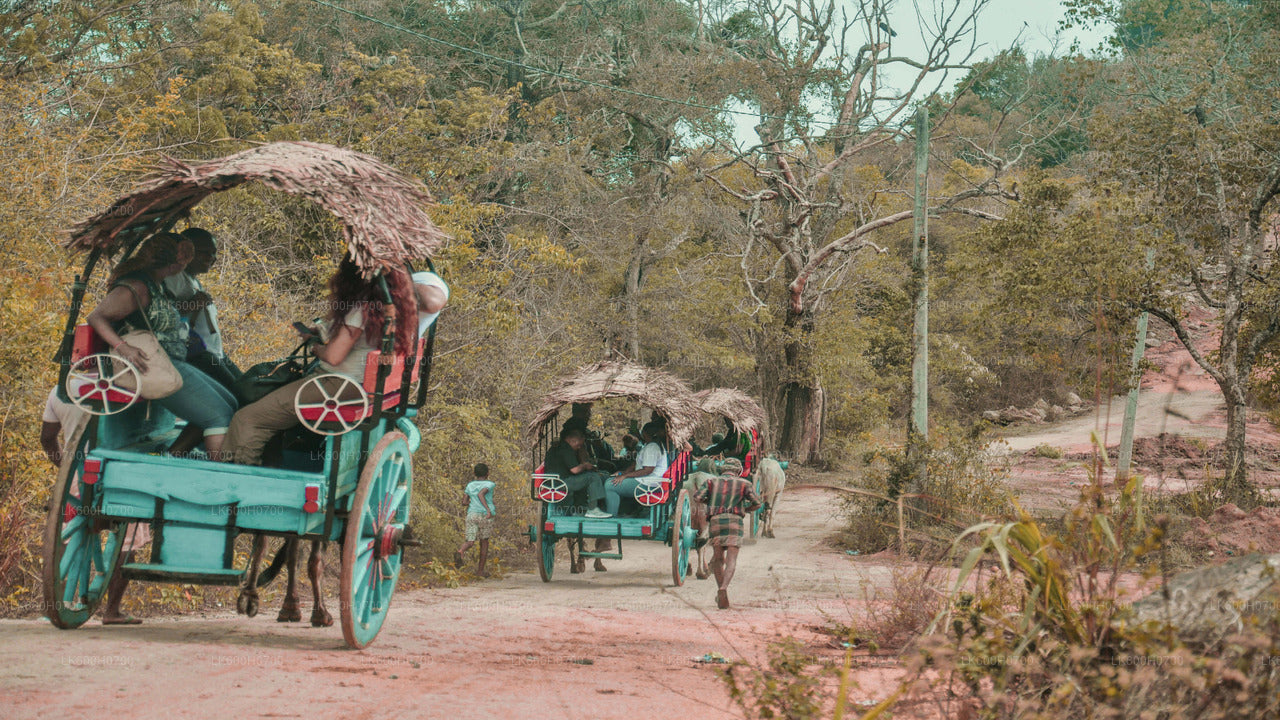 Ab Colombo: Tour zum Sigiriya-Felsen und zum Dorf