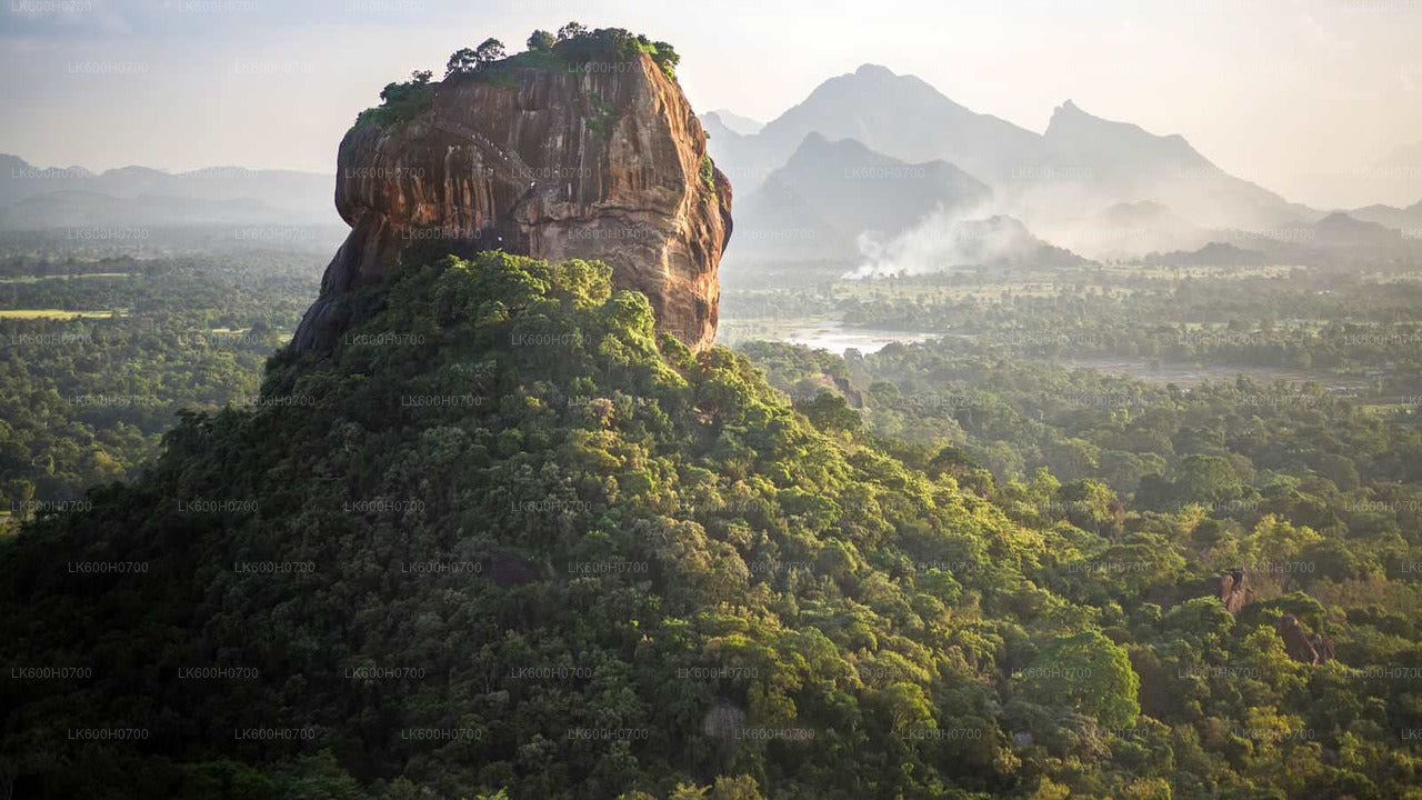 Ab Colombo: Tour zum Sigiriya-Felsen und zum Dorf