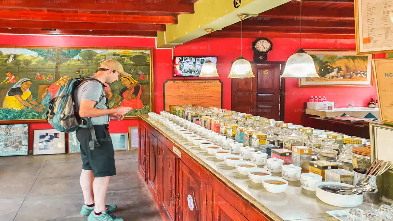 Highlights der Südküste aus Colombo