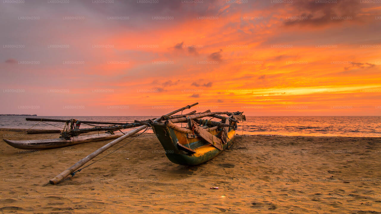 Negombo Stadtrundfahrt ab Colombo