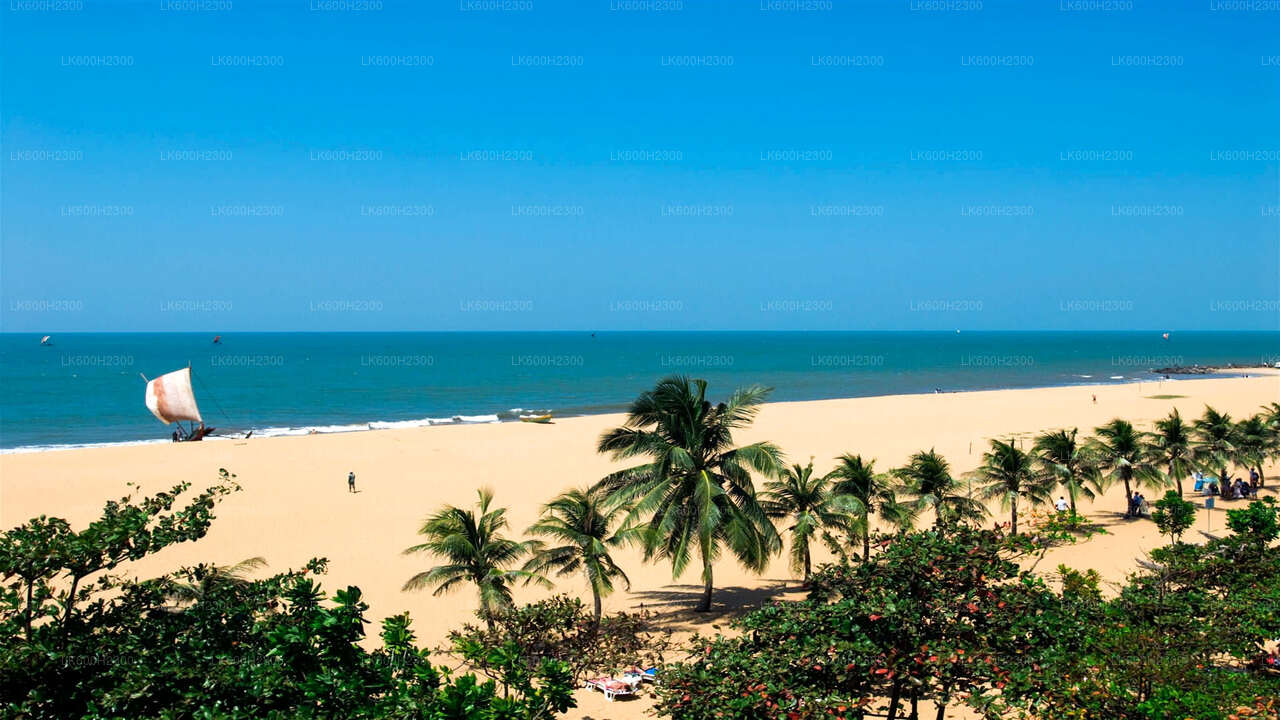 Negombo Stadtrundfahrt ab Colombo