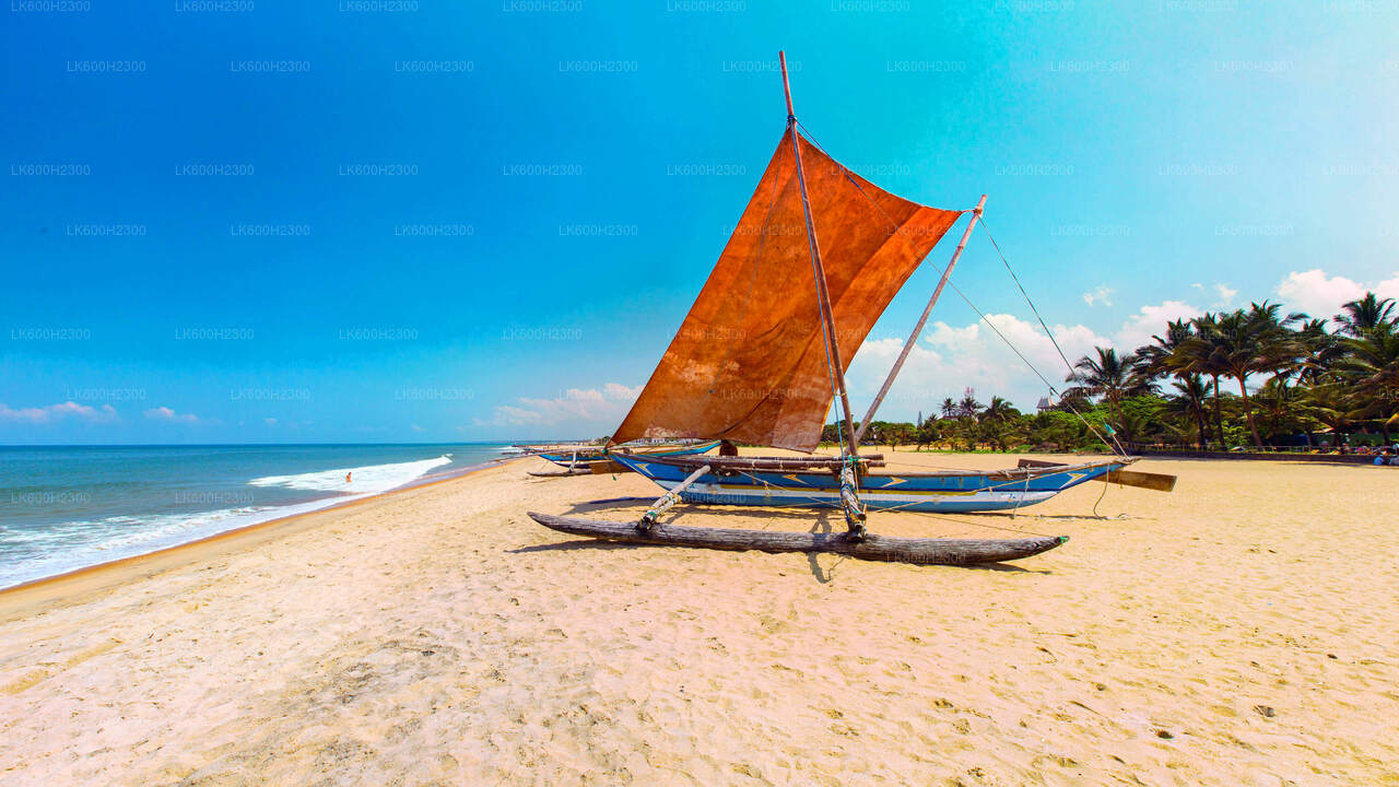 Negombo Stadtrundfahrt ab Colombo