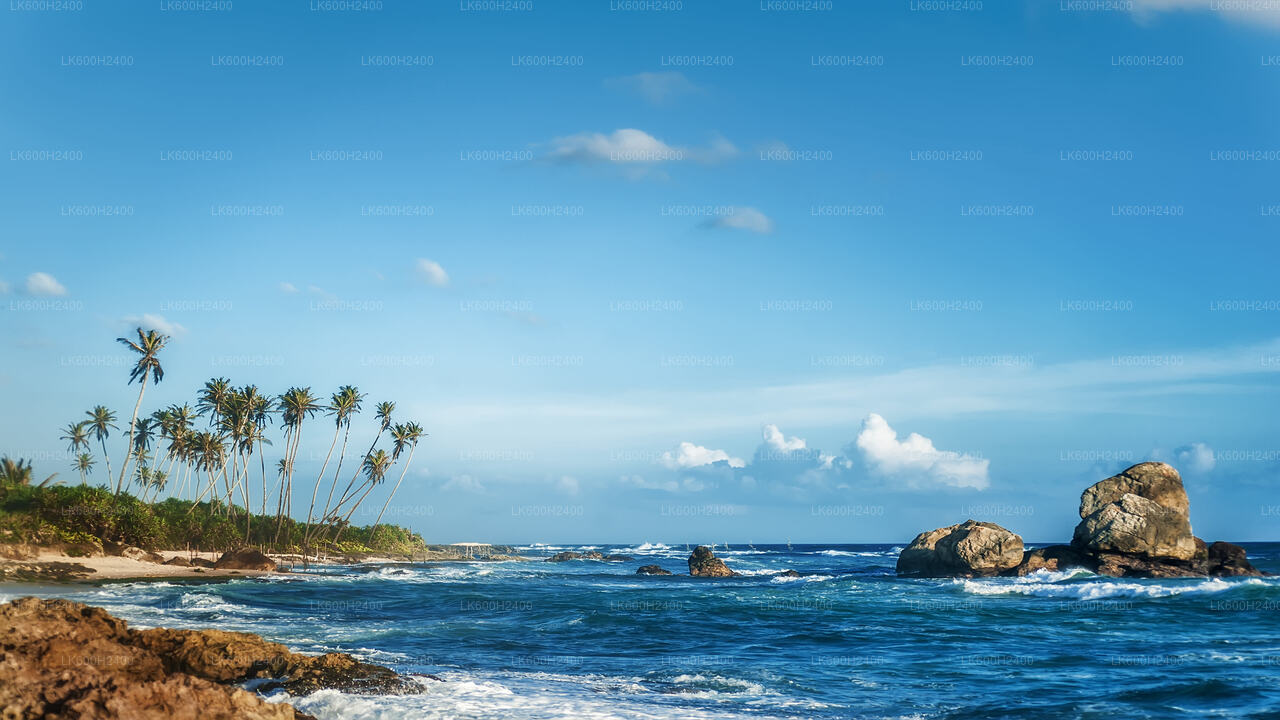 Küstenfahrt von Colombo nach Tangalle