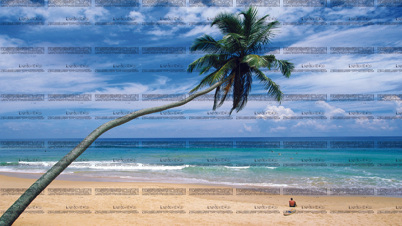 Küstenfahrt von Colombo nach Tangalle