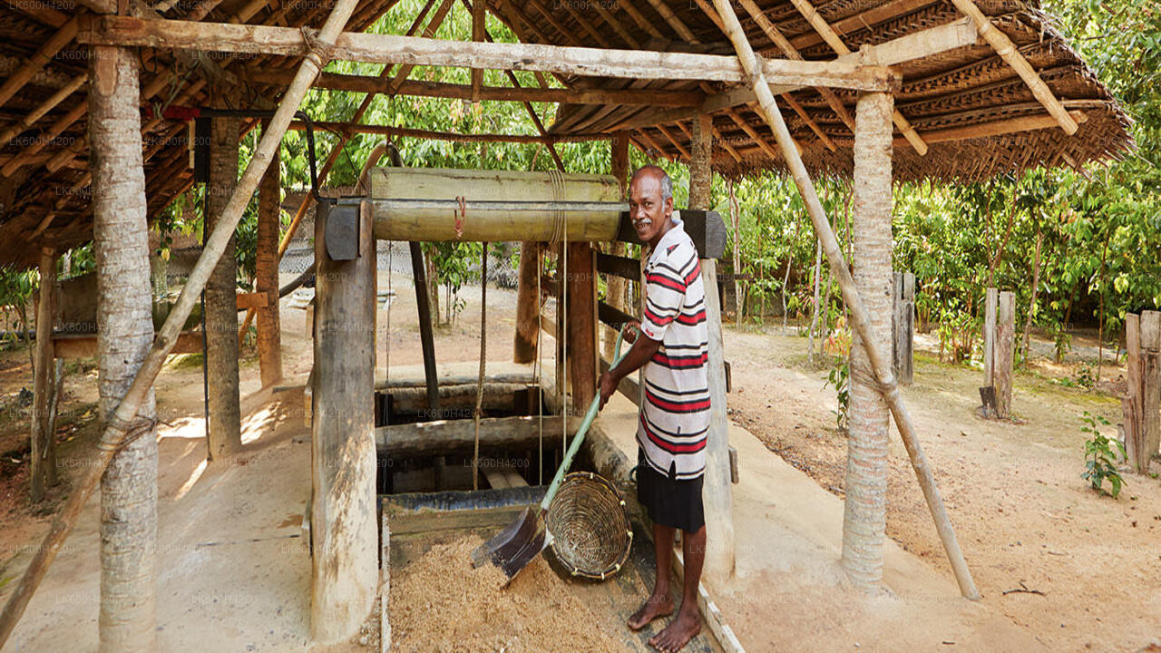 Erkunden Sie die Edelsteinminen in Ratnapura von Colombo aus