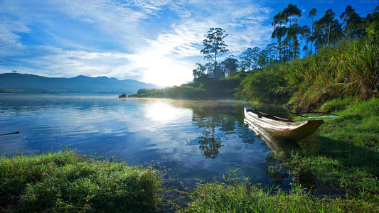 Matale Highlands und Kocherlebnis von Dambulla