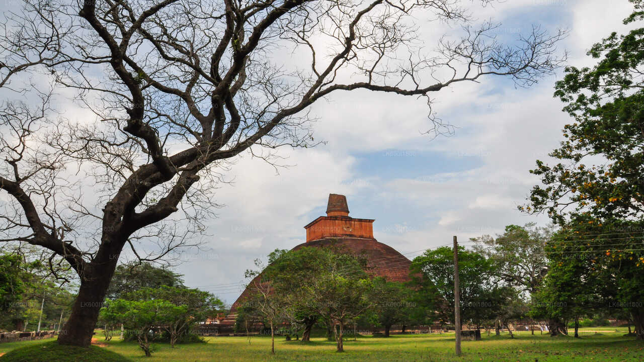 Tour zu buddhistischen Ikonen nach Anuradhapura ab Dambulla