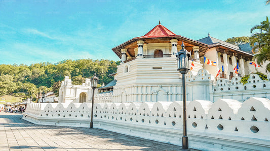 Kandy-Stadtrundfahrt ab Dambulla