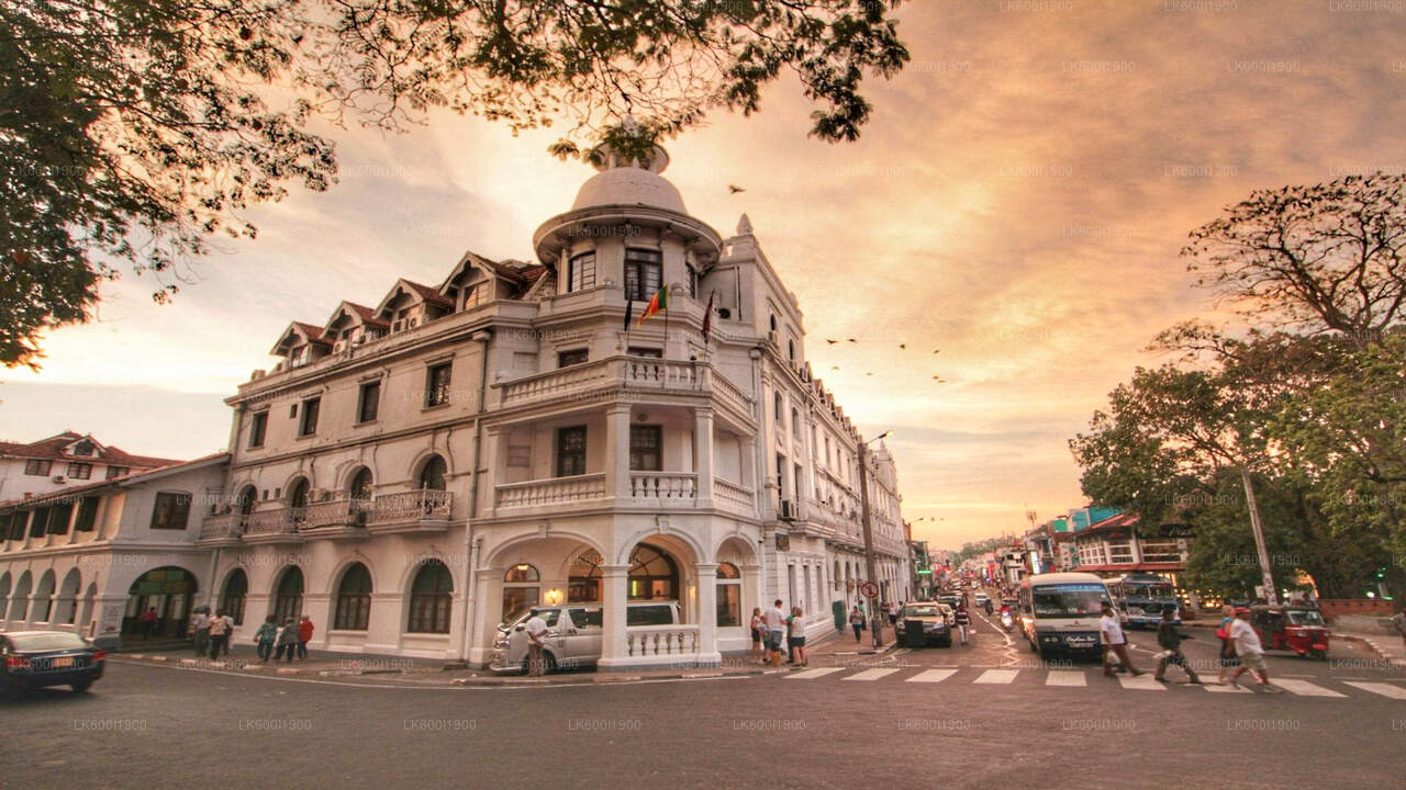 Kandy-Stadtrundfahrt ab Dambulla
