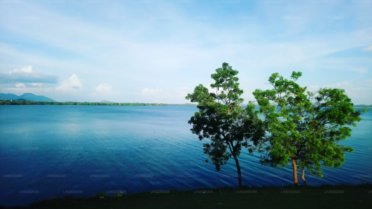 Ritigala, Kala Wewa und Namal Uyana aus Dambulla