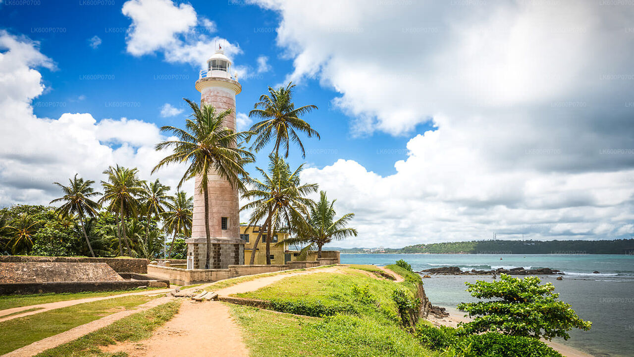 Tour durch die alte niederländische Festung und Flusssafari ab Galle