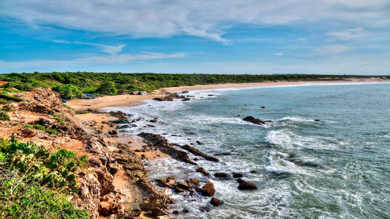Bundala-Nationalpark-Safari ab Galle