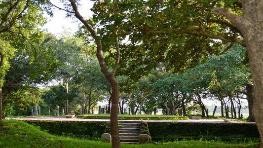 Heilige Stadt Anuradhapura von Habarana aus