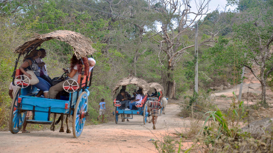 Sigiriya-Felsen- und Dorftour ab Habarana