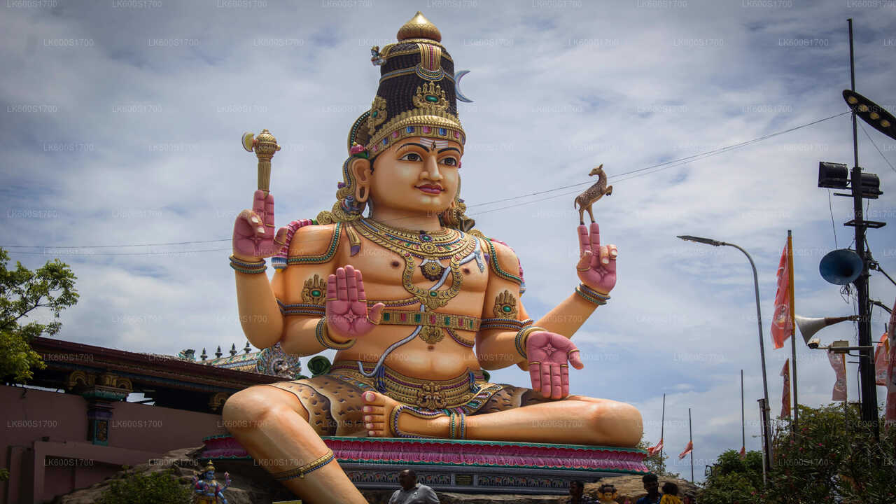 Stadtrundfahrt durch Trincomalee ab Habarana
